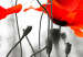 Canvas Meadow Full of Poppies (3-part) - Romantic Flowers in Nature's Grayscale 95934 additionalThumb 4