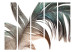 Folding Screen Beautiful Feather II - colorful feather on white background in romantic motif 97434 additionalThumb 3