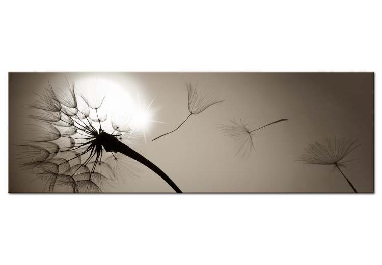 Canvas Farewell Kiss of Summer - Dandelion Flowers with Sunlight Background 97934
