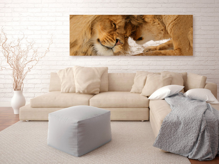 Canvas Print Lion and Lioness - Romantic Animal Pair Sharing Mutual Love 98134 additionalImage 3