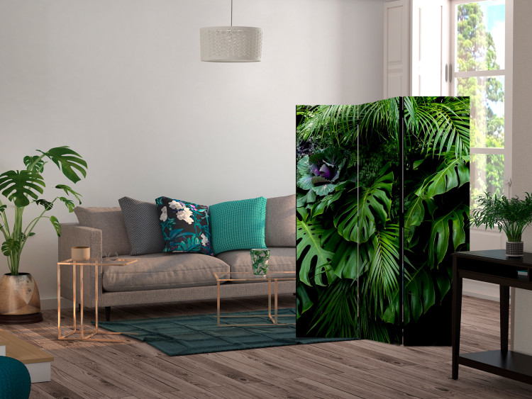 Folding Screen Rainforests - landscape of tropical monstera leaves against a jungle backdrop 114044 additionalImage 4