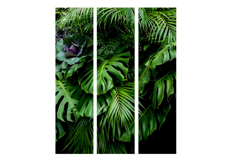 Folding Screen Rainforests - landscape of tropical monstera leaves against a jungle backdrop 114044 additionalImage 3