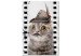 Canvas Art Print Animal Fantasy (1-part) - Cat's Cinematic Odyssey with a Hat 116344
