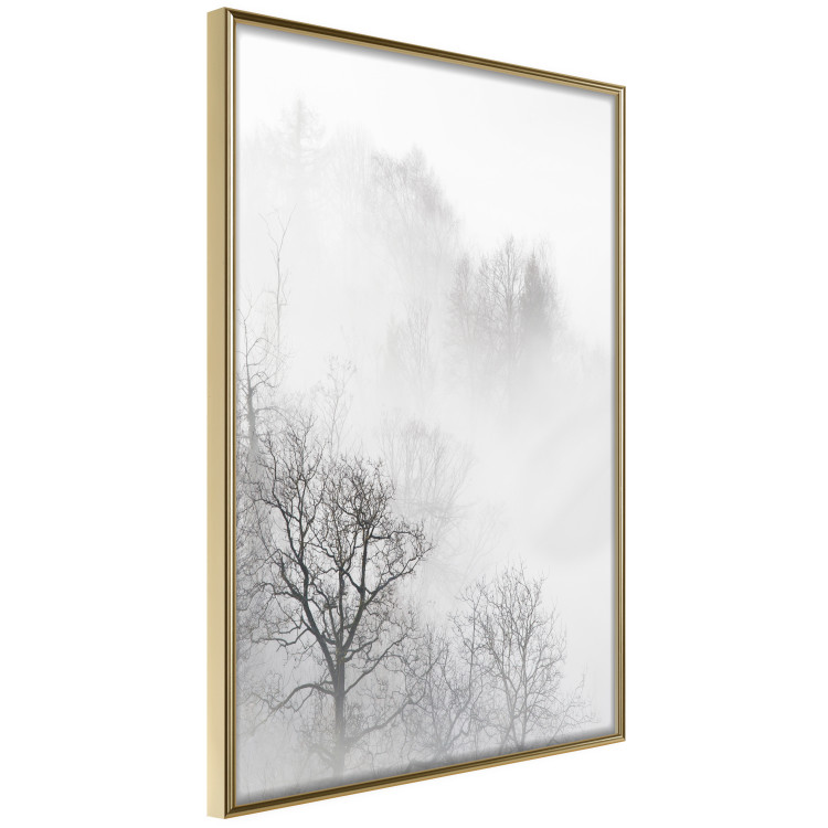 Poster Trees in the Mist - black and white composition overlooking a misty forest 116544 additionalImage 12