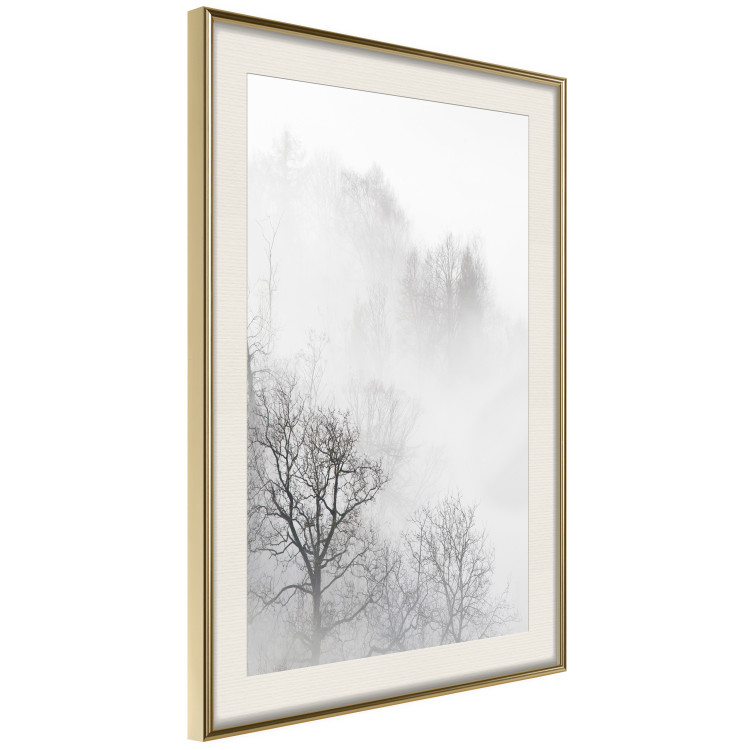Poster Trees in the Mist - black and white composition overlooking a misty forest 116544 additionalImage 2