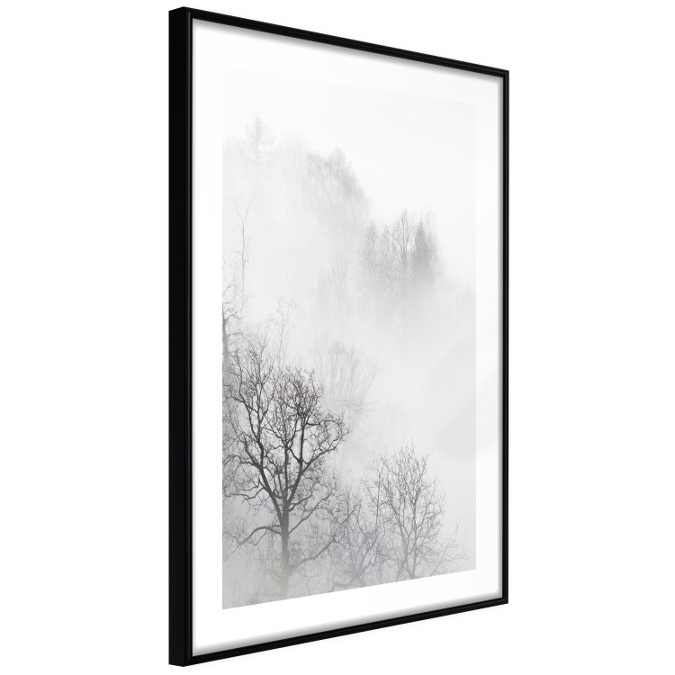 Poster Trees in the Mist - black and white composition overlooking a misty forest 116544 additionalImage 13