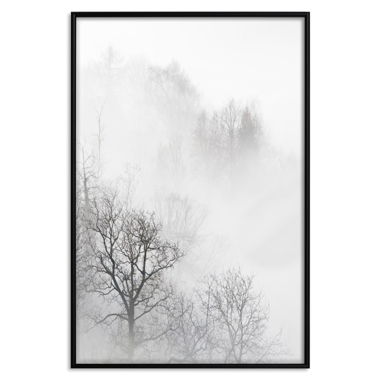 Poster Trees in the Mist - black and white composition overlooking a misty forest 116544 additionalImage 24