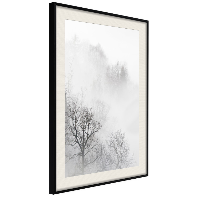 Poster Trees in the Mist - black and white composition overlooking a misty forest 116544 additionalImage 3