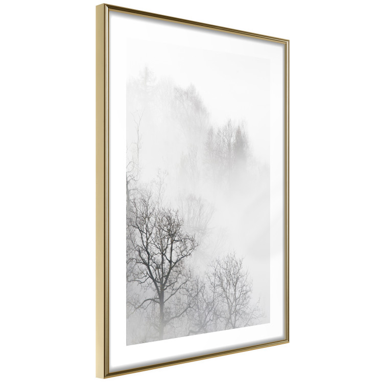 Poster Trees in the Mist - black and white composition overlooking a misty forest 116544 additionalImage 8