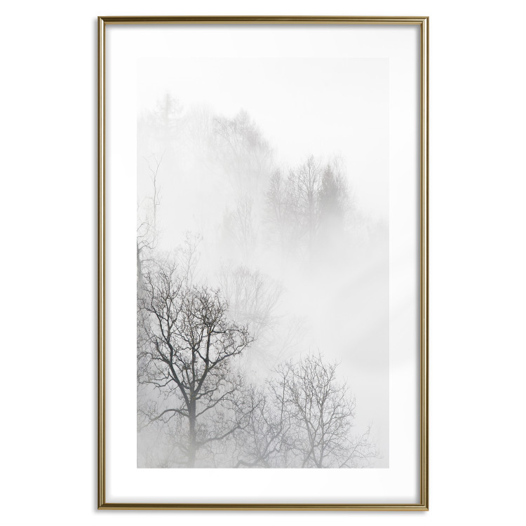 Poster Trees in the Mist - black and white composition overlooking a misty forest 116544 additionalImage 16