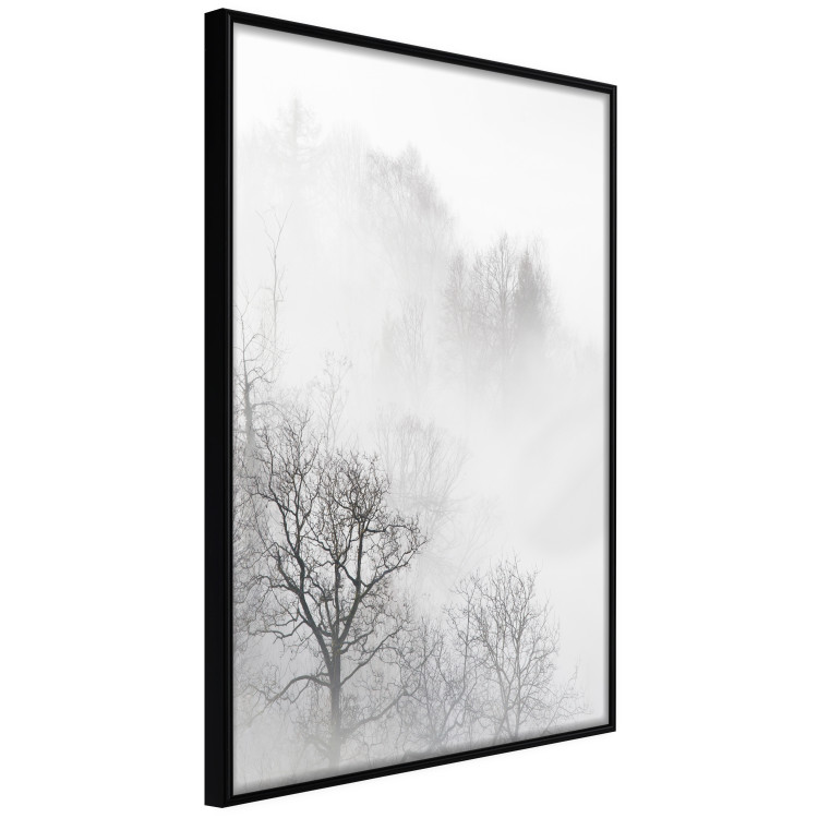 Poster Trees in the Mist - black and white composition overlooking a misty forest 116544 additionalImage 10