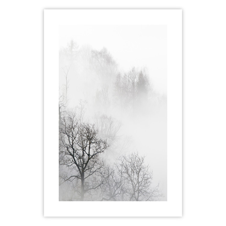 Poster Trees in the Mist - black and white composition overlooking a misty forest 116544 additionalImage 19