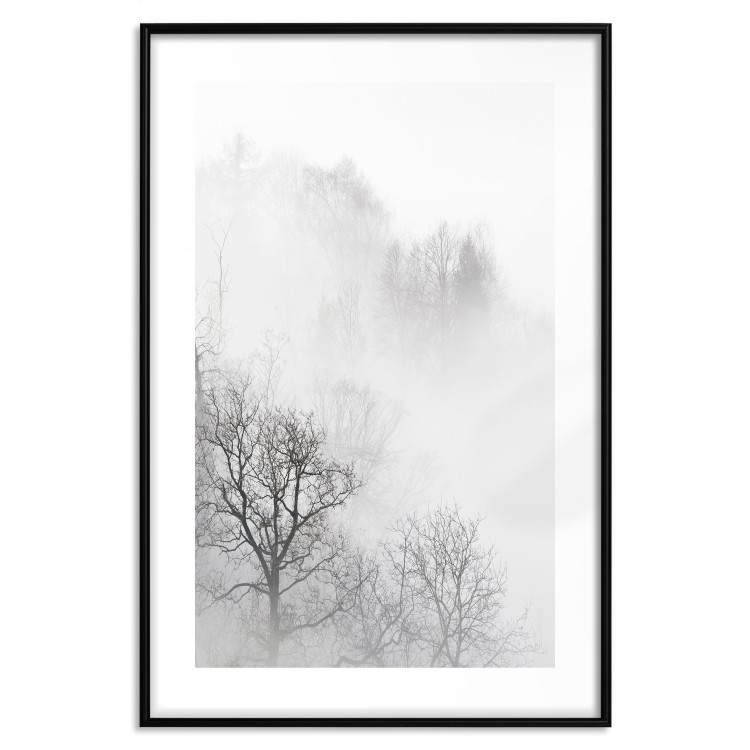 Poster Trees in the Mist - black and white composition overlooking a misty forest 116544 additionalImage 17