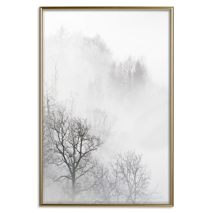 Poster Trees in the Mist - black and white composition overlooking a misty forest 116544 additionalImage 16