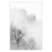 Poster Trees in the Mist - black and white composition overlooking a misty forest 116544