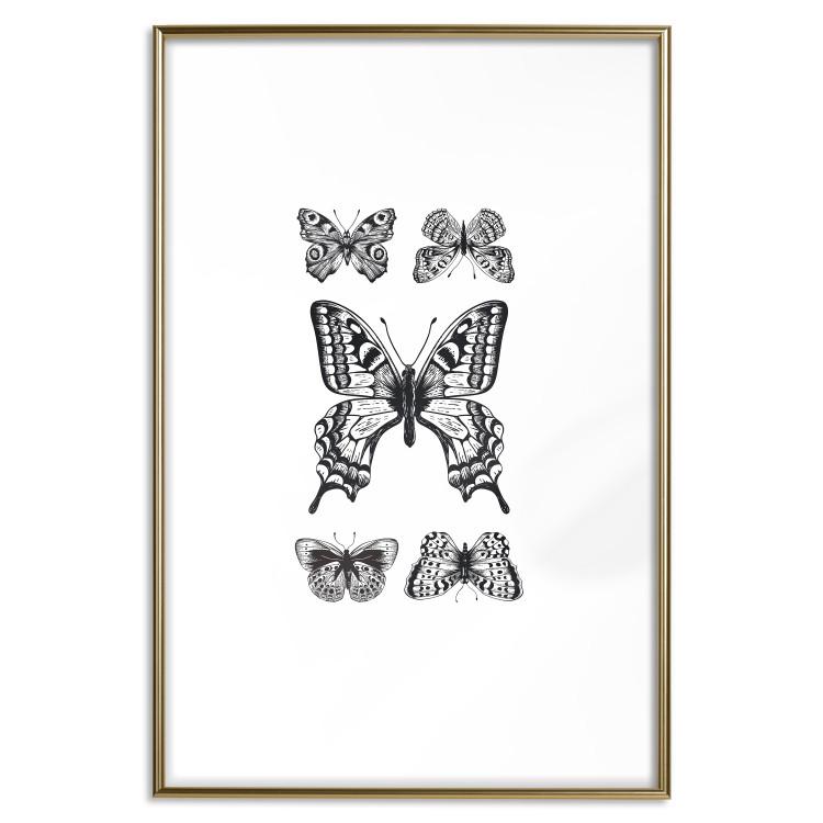 Poster Five Butterflies - black and white composition with winged daytime insects 116944 additionalImage 16