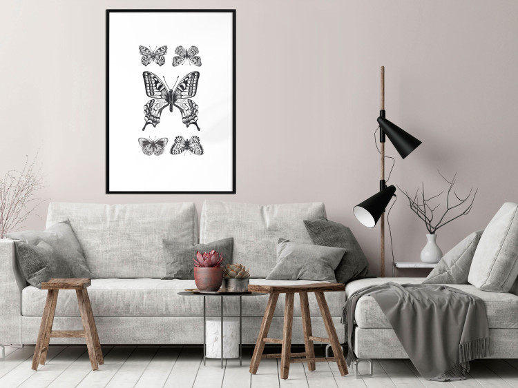 Poster Five Butterflies - black and white composition with winged daytime insects 116944 additionalImage 4