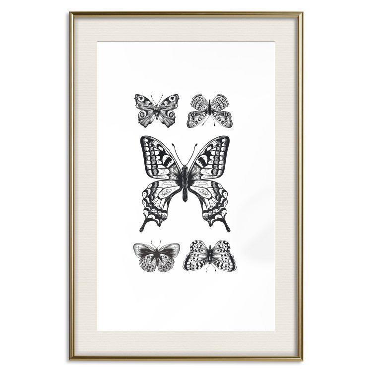 Poster Five Butterflies - black and white composition with winged daytime insects 116944 additionalImage 19