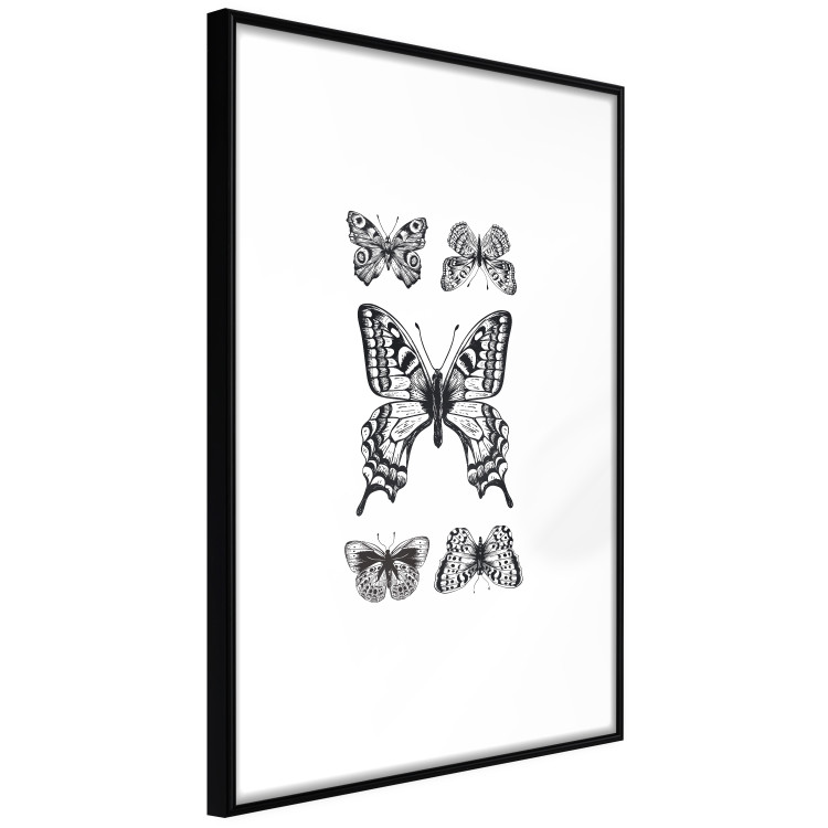 Poster Five Butterflies - black and white composition with winged daytime insects 116944 additionalImage 6