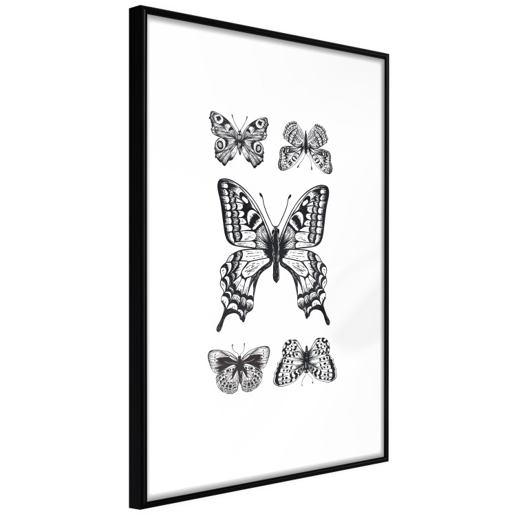 Posters set Butterflies 124759 additionalImage 5