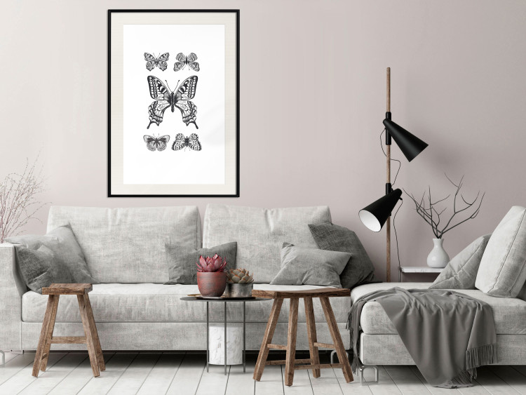 Poster Five Butterflies - black and white composition with winged daytime insects 116944 additionalImage 22