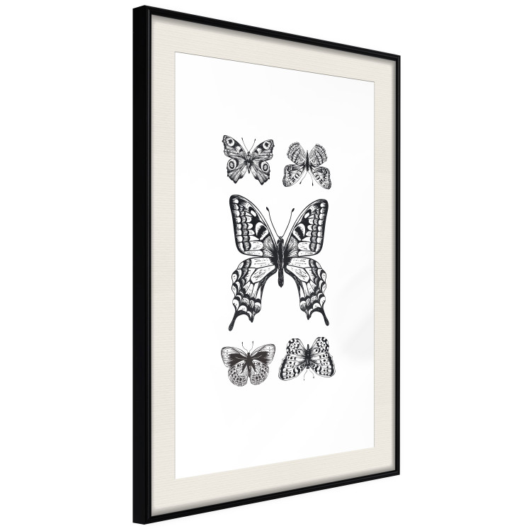 Poster Five Butterflies - black and white composition with winged daytime insects 116944 additionalImage 2