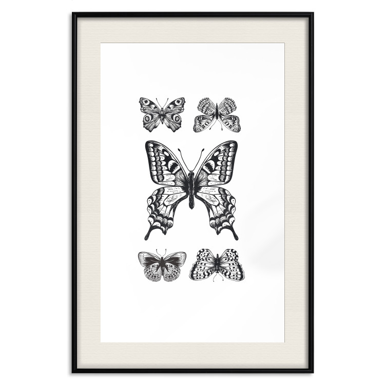Poster Five Butterflies - black and white composition with winged daytime insects 116944 additionalImage 18