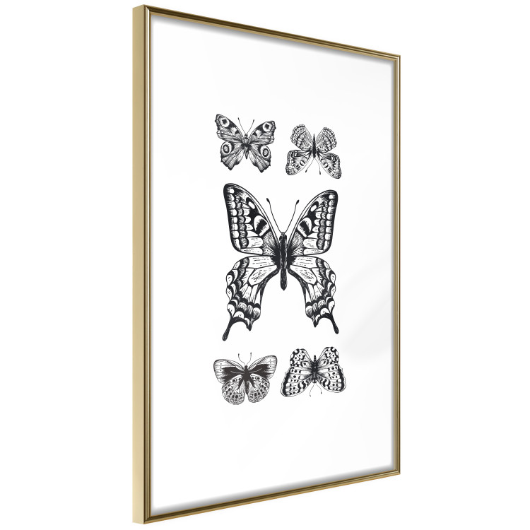 Poster Five Butterflies - black and white composition with winged daytime insects 116944 additionalImage 12