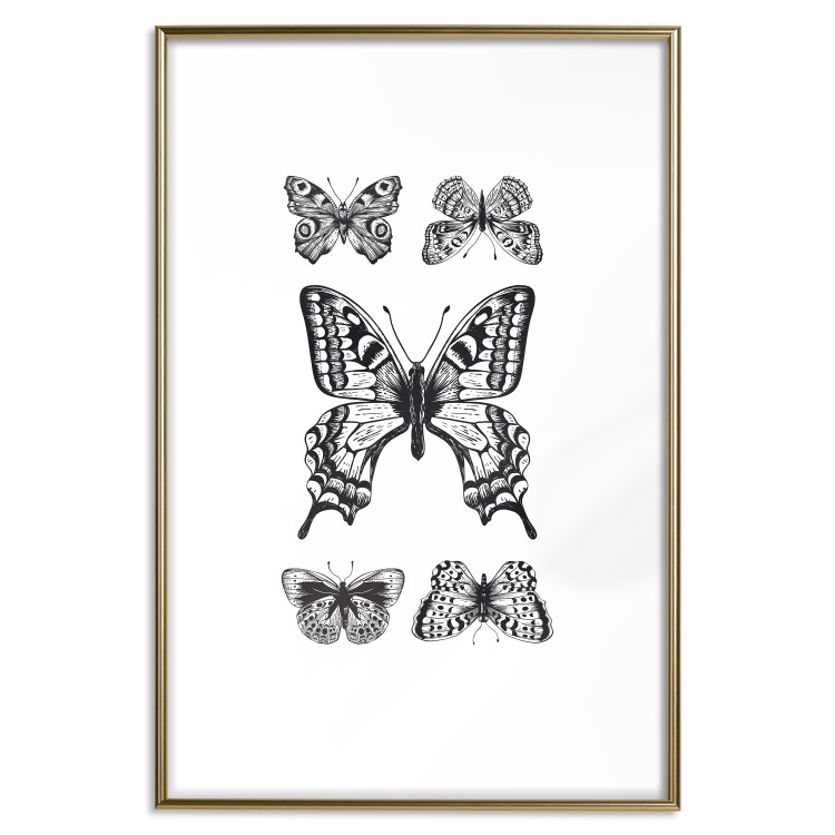 Poster Five Butterflies - black and white composition with winged daytime insects 116944 additionalImage 20