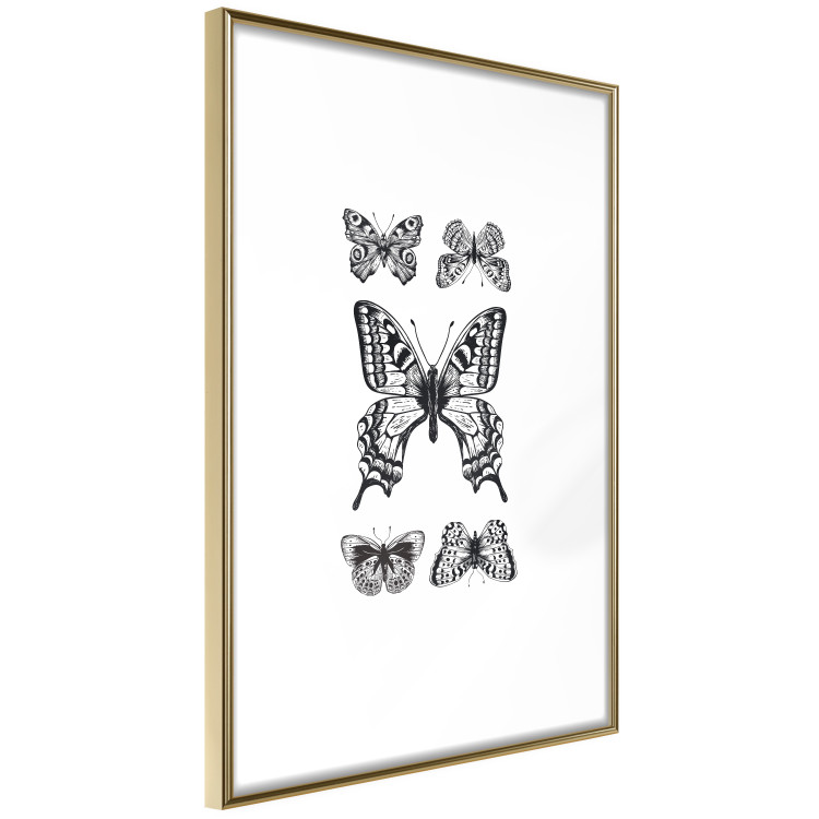 Poster Five Butterflies - black and white composition with winged daytime insects 116944 additionalImage 7