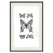 Poster Five Butterflies - black and white composition with winged daytime insects 116944 additionalThumb 18
