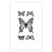 Poster Five Butterflies - black and white composition with winged daytime insects 116944