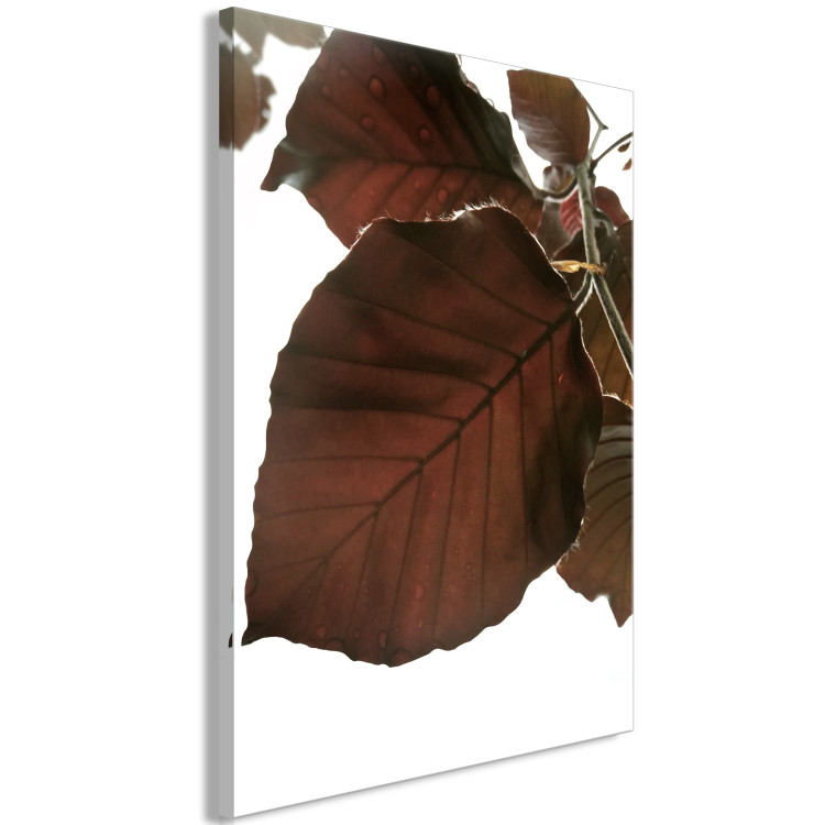 Canvas Print Autumn Elegance (1-part) - Tree Leaves in Brown Shades 122644 additionalImage 2