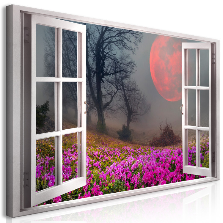 Large canvas print Red Planet II [Large Format] 125444 additionalImage 2