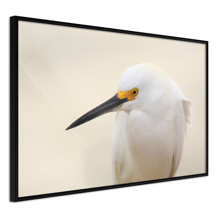 Wall Poster Snowy Egret - bird with a black beak and yellow face on a light background 129844 additionalImage 13
