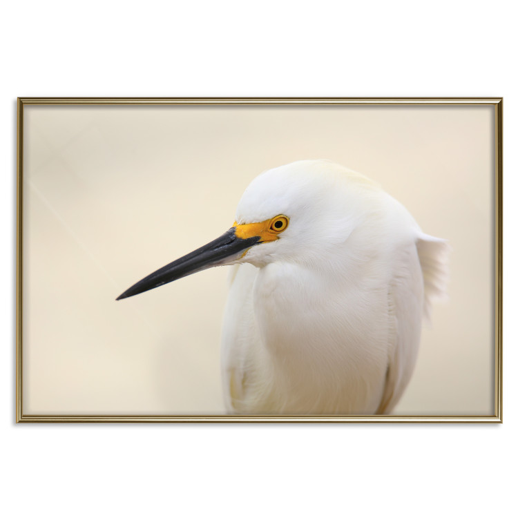 Wall Poster Snowy Egret - bird with a black beak and yellow face on a light background 129844 additionalImage 21
