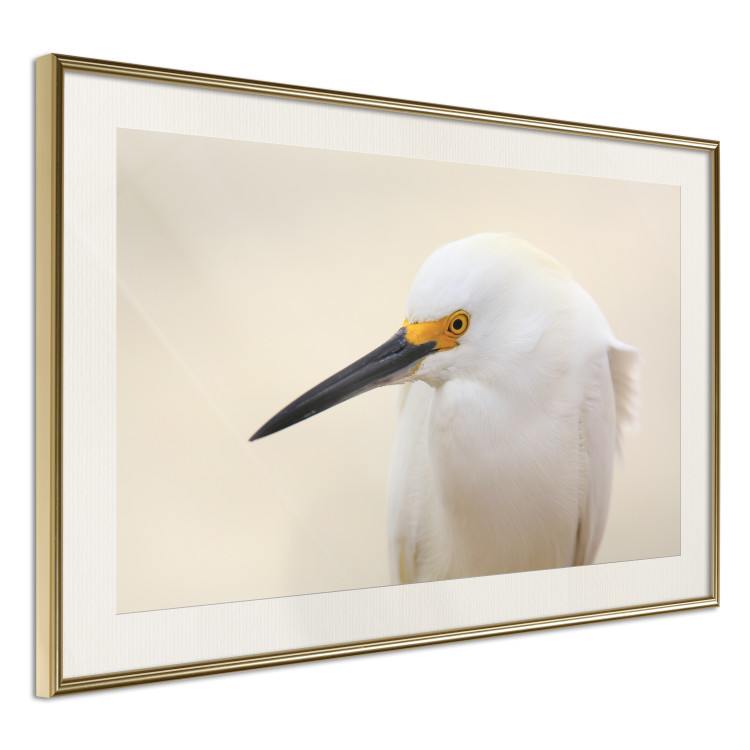 Wall Poster Snowy Egret - bird with a black beak and yellow face on a light background 129844 additionalImage 3
