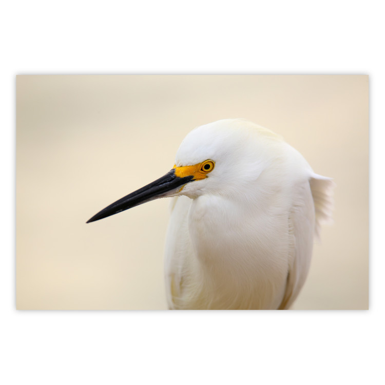 Wall Poster Snowy Egret - bird with a black beak and yellow face on a light background 129844