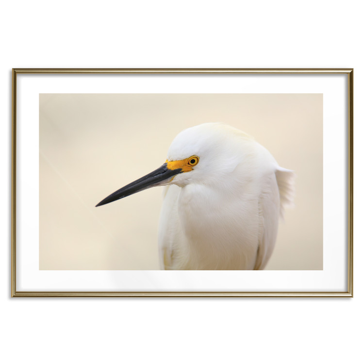 Wall Poster Snowy Egret - bird with a black beak and yellow face on a light background 129844 additionalImage 16
