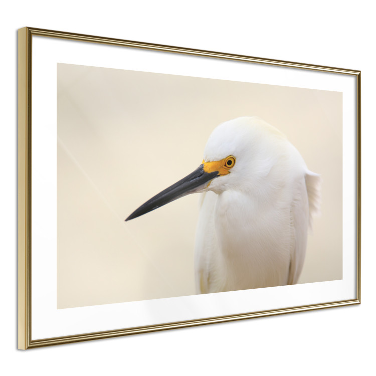 Wall Poster Snowy Egret - bird with a black beak and yellow face on a light background 129844 additionalImage 9