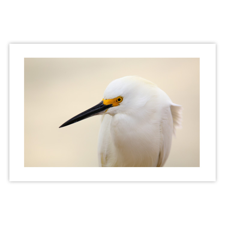 Wall Poster Snowy Egret - bird with a black beak and yellow face on a light background 129844 additionalImage 25