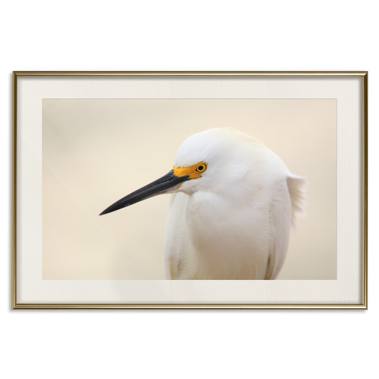 Wall Poster Snowy Egret - bird with a black beak and yellow face on a light background 129844 additionalImage 20