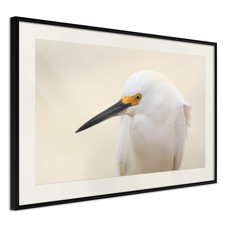 Wall Poster Snowy Egret - bird with a black beak and yellow face on a light background 129844 additionalImage 2