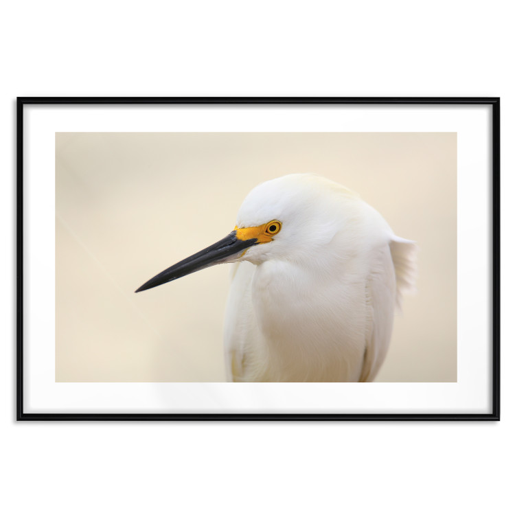 Wall Poster Snowy Egret - bird with a black beak and yellow face on a light background 129844 additionalImage 17