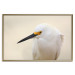 Wall Poster Snowy Egret - bird with a black beak and yellow face on a light background 129844 additionalThumb 21