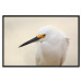 Wall Poster Snowy Egret - bird with a black beak and yellow face on a light background 129844 additionalThumb 18