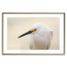 Wall Poster Snowy Egret - bird with a black beak and yellow face on a light background 129844 additionalThumb 16