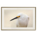 Wall Poster Snowy Egret - bird with a black beak and yellow face on a light background 129844 additionalThumb 20