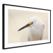 Wall Poster Snowy Egret - bird with a black beak and yellow face on a light background 129844 additionalThumb 8