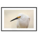Wall Poster Snowy Egret - bird with a black beak and yellow face on a light background 129844 additionalThumb 17